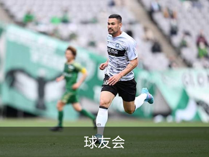 QY·球友会 (中国)官方网站
